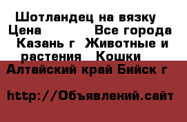 Шотландец на вязку › Цена ­ 1 000 - Все города, Казань г. Животные и растения » Кошки   . Алтайский край,Бийск г.